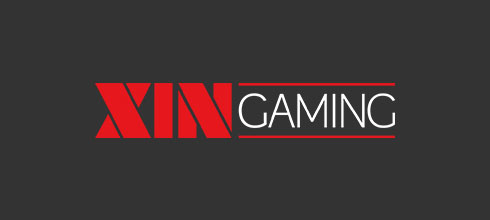 XIN-Gaming logo